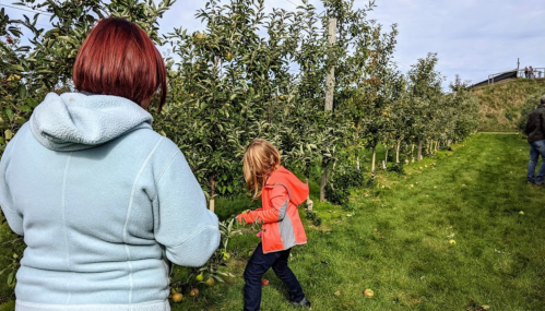 A woman in a light blue jacket watches a child in an orange jacket picking apples in an orchard.