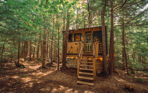 A cozy treehouse nestled among tall trees in a lush forest, featuring wooden steps and a charming exterior.