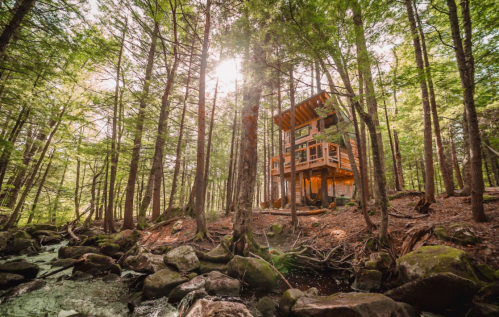 A wooden treehouse nestled among tall trees, beside a rocky stream, with sunlight filtering through the foliage.