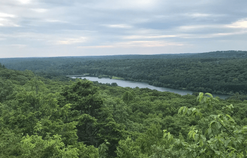 A serene landscape featuring a river winding through lush green forests under a cloudy sky.