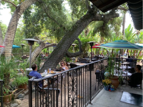 A cozy outdoor dining area with large trees, colorful umbrellas, and patrons enjoying their meals in a lush setting.