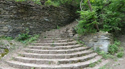 Stone steps winding up through a lush green forest, surrounded by trees and natural foliage.