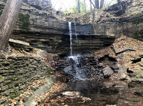 A small waterfall cascades over rocky cliffs, surrounded by autumn leaves and a tranquil pool below.