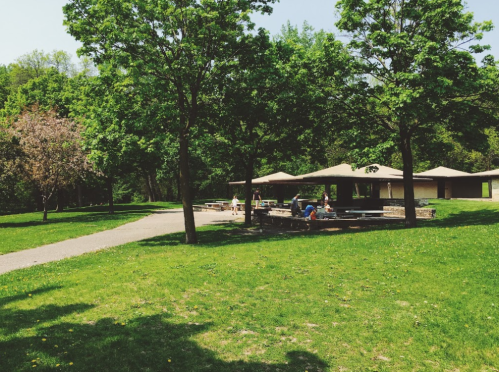 A sunny park scene with green trees, a picnic area, and people enjoying the outdoors near a building.