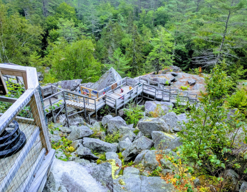 A wooden walkway winds through rocky terrain and lush green trees in a forested area.