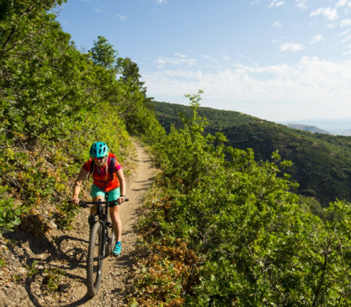 A cyclist rides along a narrow dirt trail surrounded by lush greenery and hills under a clear blue sky.