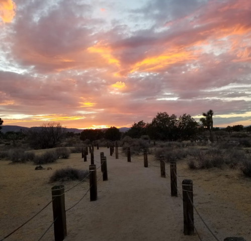 A sandy path lined with wooden posts leads toward a vibrant sunset, with colorful clouds and desert vegetation.