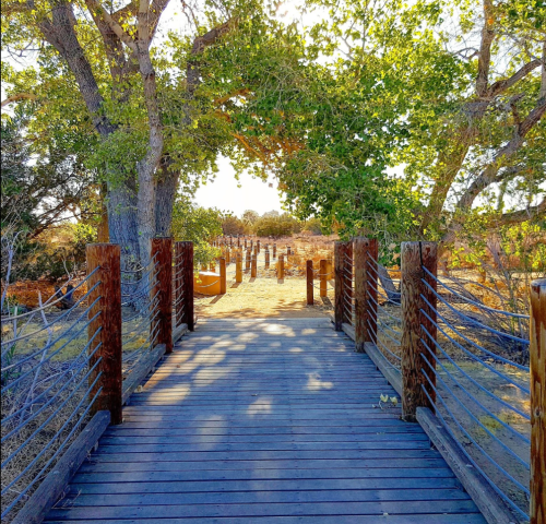 A wooden walkway leads through trees, with posts lining the path and sunlight filtering through the leaves.