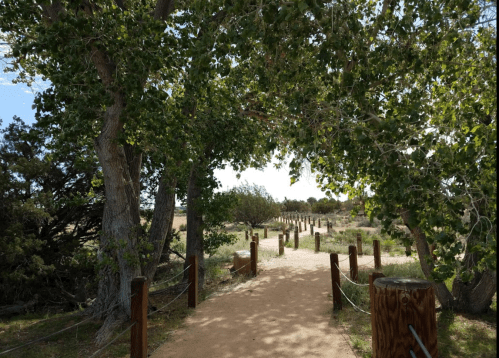A sandy path leads through a green archway of trees, with wooden posts lining the trail in a natural setting.