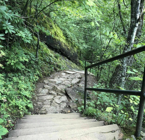 A stone staircase leads down through lush green foliage and trees on a forested path.
