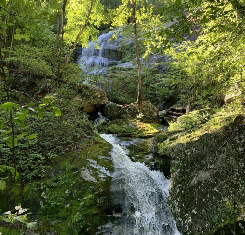 A serene waterfall cascades over rocks, surrounded by lush green foliage and moss in a tranquil forest setting.