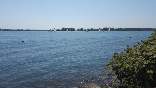 A serene lake scene with sailboats in the distance and lush greenery along the shore under a clear blue sky.