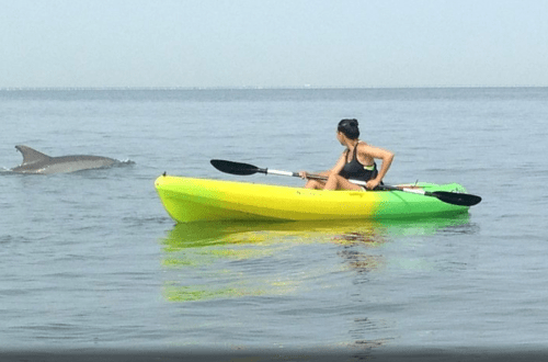 A person in a green kayak paddles near a dolphin in calm waters.