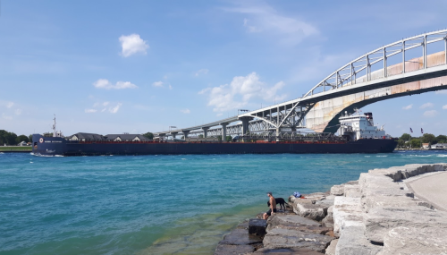 A large cargo ship passes under a bridge, with a rocky shoreline and a person sitting by the water in the foreground.