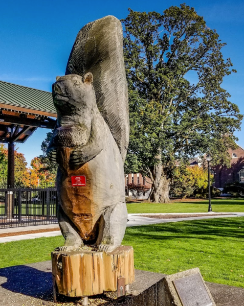 A large wooden sculpture of a squirrel stands in a park, surrounded by green grass and trees under a clear blue sky.