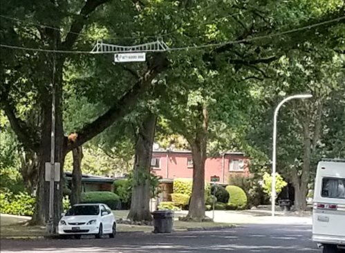 Street view featuring a sign for "N. 4th Street" hanging between trees, with parked cars and residential buildings in the background.