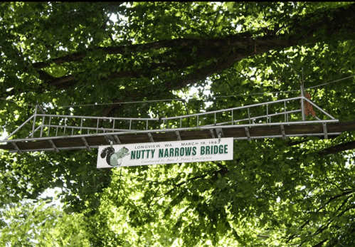 A sign for Nutty Narrows Bridge in Longview, WA, hanging from a tree, surrounded by green leaves.