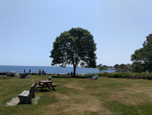 A sunny beach scene with a large tree, picnic tables, and people enjoying the view of the ocean.