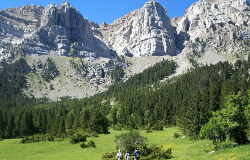 Two hikers explore a lush green valley surrounded by towering rocky mountains under a clear blue sky.