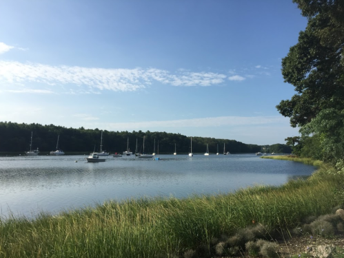 A serene river scene with sailboats anchored, surrounded by lush greenery and a clear blue sky.