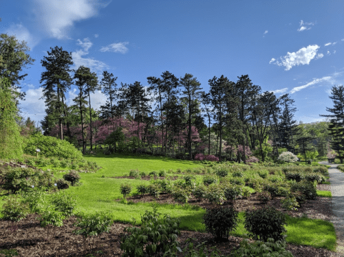 A lush green landscape with trees and blooming flowers under a bright blue sky with scattered clouds.