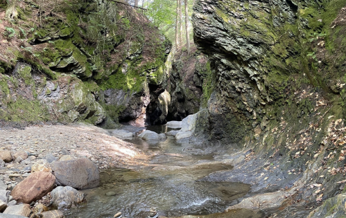 A serene rocky creek surrounded by moss-covered cliffs and trees, with sunlight filtering through the foliage.