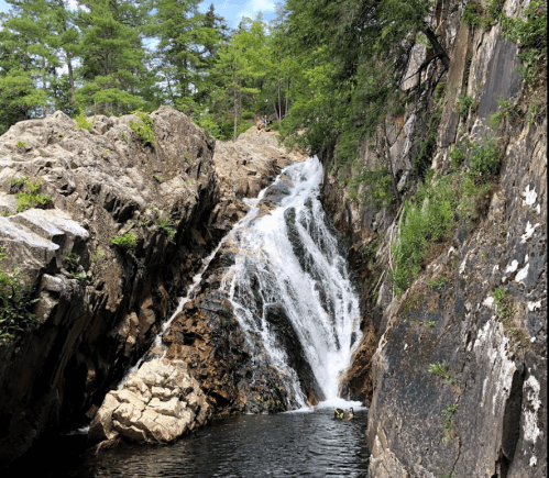 A cascading waterfall flows over rocky cliffs into a serene pool, surrounded by lush greenery and trees.