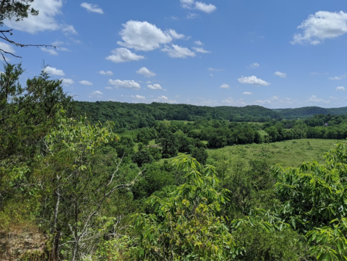 A scenic view of lush green hills and fields under a bright blue sky with fluffy white clouds.