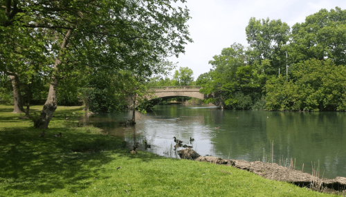 A serene park scene featuring a bridge over a calm river, surrounded by lush greenery and trees. Ducks are visible near the shore.