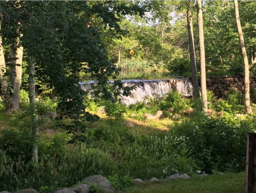 A serene waterfall cascades over rocks, surrounded by lush greenery and trees in a peaceful natural setting.