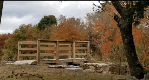 A wooden bridge surrounded by vibrant autumn foliage and trees, set against a cloudy sky.