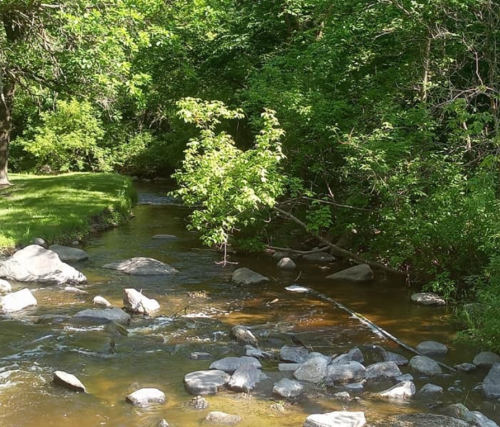 A serene stream flows through a lush green landscape, with rocks scattered along the water's edge.