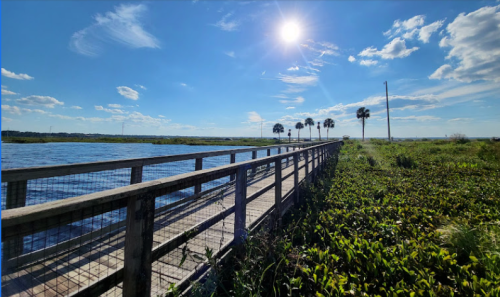 A wooden boardwalk leads to a serene waterway, surrounded by lush greenery and palm trees under a bright blue sky.