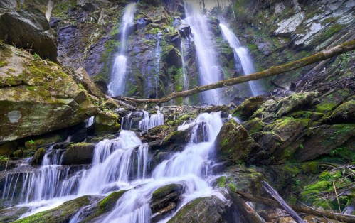 A serene waterfall cascading over moss-covered rocks, surrounded by lush greenery and fallen branches.
