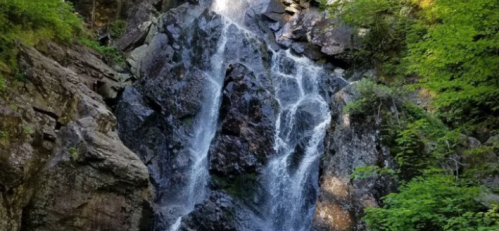 A cascading waterfall flows over rocky cliffs, surrounded by lush green foliage.