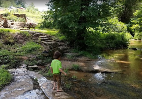 A child in a bright green shirt stands by a creek, surrounded by lush greenery and a picnic area in the background.