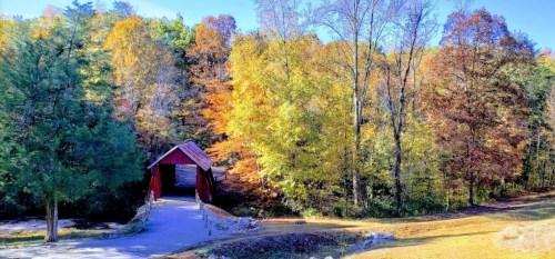 A red covered bridge surrounded by vibrant autumn foliage and trees under a clear blue sky.