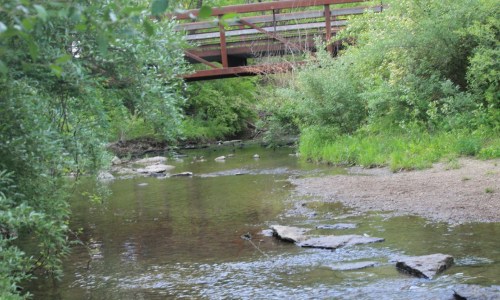 A serene creek with smooth stones, surrounded by lush greenery and a wooden bridge in the background.
