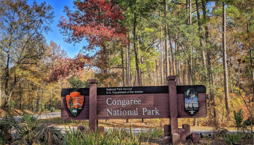 Sign for Congaree National Park surrounded by colorful autumn trees and greenery.