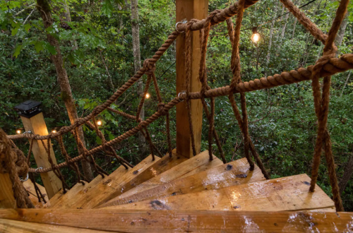 Wooden stairs with rope railings descend through a lush green forest, illuminated by soft string lights.