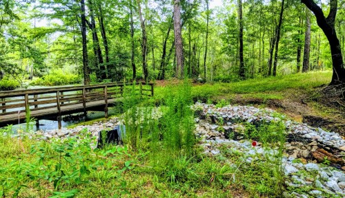 A wooden bridge crosses a stream surrounded by lush greenery and rocky terrain in a serene forest setting.