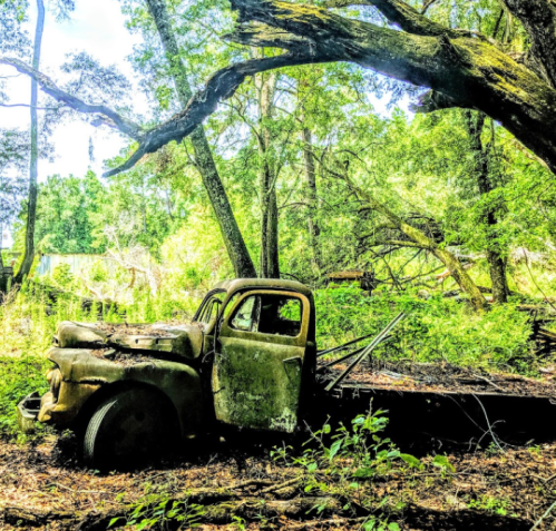 An old, rusty truck sits abandoned in a lush, green forest, surrounded by trees and overgrown vegetation.