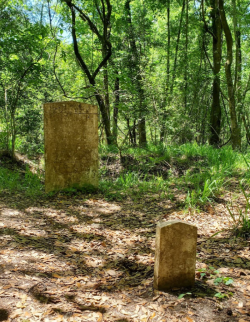 Two weathered gravestones in a wooded area, surrounded by green foliage and fallen leaves.