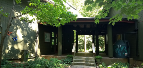 A serene entrance with stone steps, surrounded by greenery and a butterfly decoration on the wall.