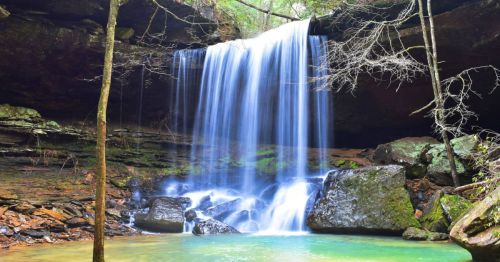 A serene waterfall cascades over rocks into a tranquil pool, surrounded by lush greenery and trees.