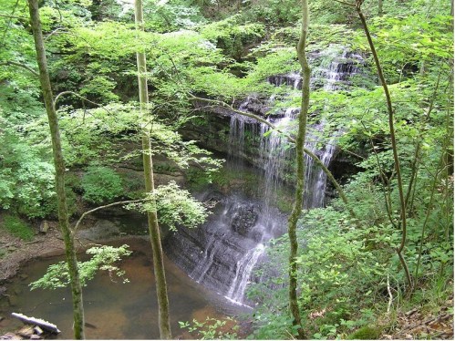 A serene waterfall cascades down rocky layers, surrounded by lush green trees and foliage in a tranquil forest setting.