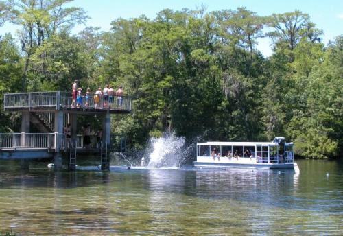 A group of people on a dock watch as someone jumps into the water near a boat on a sunny day.
