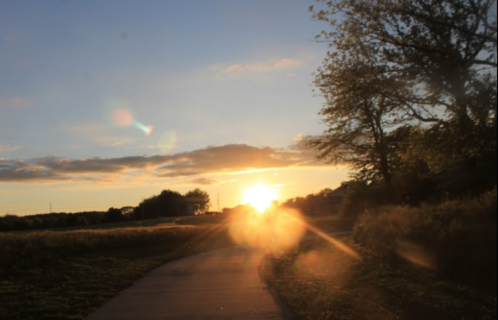 A sunset over a pathway, with warm colors illuminating the sky and trees along the edges.