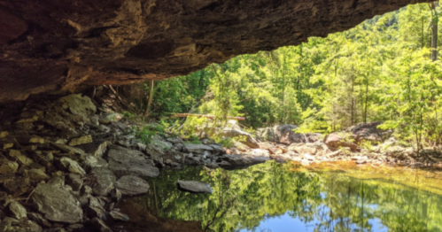 A serene view from under a rocky overhang, reflecting water and lush greenery in a peaceful natural setting.