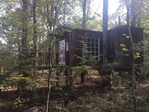 A rustic treehouse nestled among trees, featuring large windows and elevated on wooden stilts.